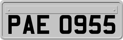 PAE0955