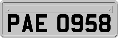PAE0958