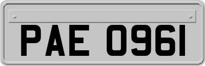 PAE0961