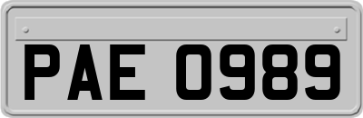 PAE0989