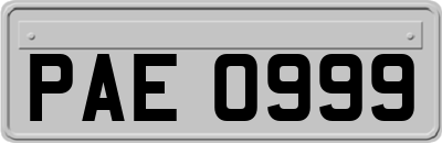 PAE0999