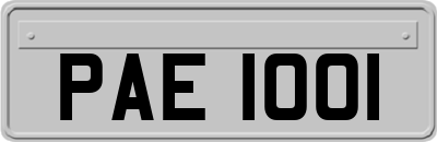 PAE1001