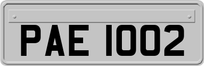 PAE1002