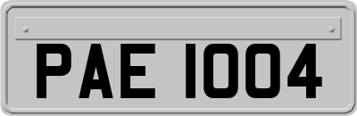 PAE1004