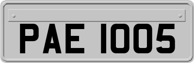 PAE1005