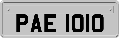 PAE1010