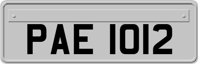 PAE1012