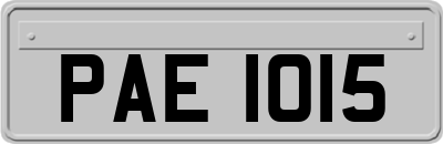 PAE1015