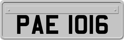 PAE1016
