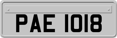 PAE1018