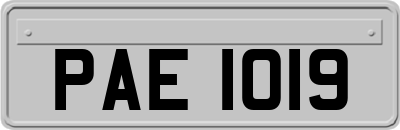 PAE1019