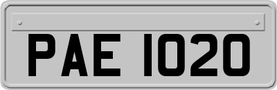 PAE1020