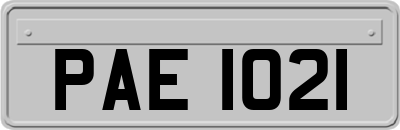 PAE1021
