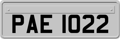 PAE1022