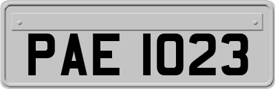 PAE1023