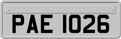 PAE1026
