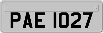 PAE1027