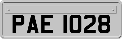 PAE1028