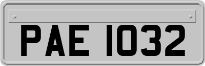 PAE1032