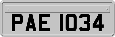 PAE1034