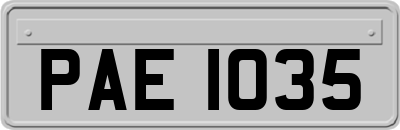 PAE1035