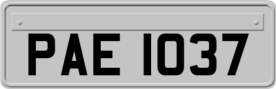 PAE1037