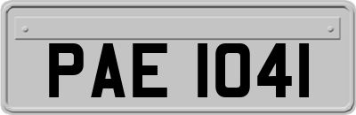 PAE1041