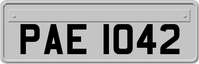 PAE1042