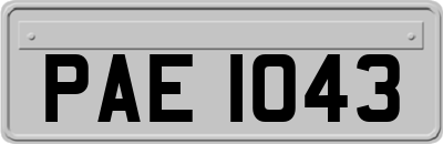 PAE1043