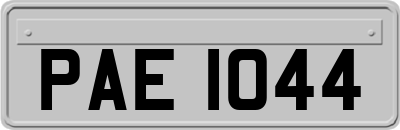 PAE1044