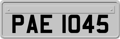 PAE1045