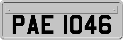 PAE1046