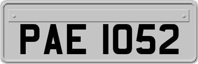 PAE1052