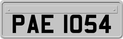 PAE1054