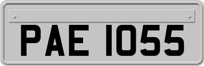 PAE1055