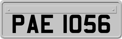 PAE1056