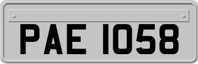 PAE1058