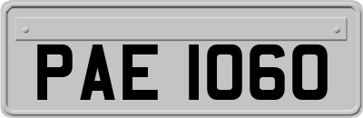 PAE1060