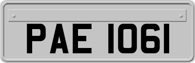 PAE1061
