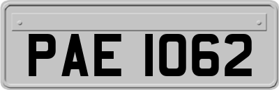 PAE1062