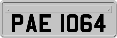 PAE1064