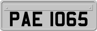 PAE1065