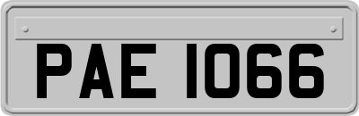 PAE1066