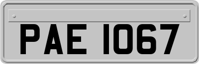 PAE1067
