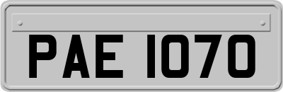 PAE1070