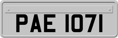 PAE1071