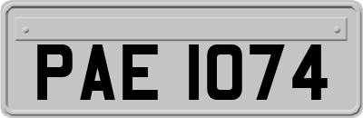 PAE1074