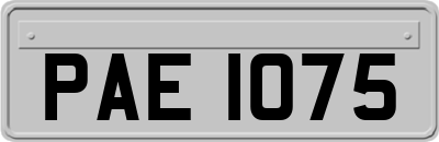 PAE1075