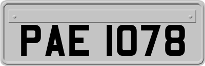 PAE1078