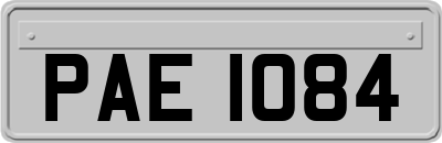 PAE1084